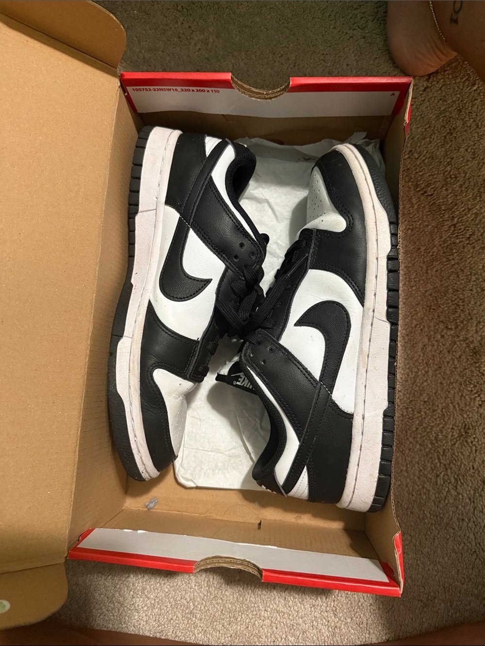 Nike Women’s SB Dunk Black and White Low-Top
